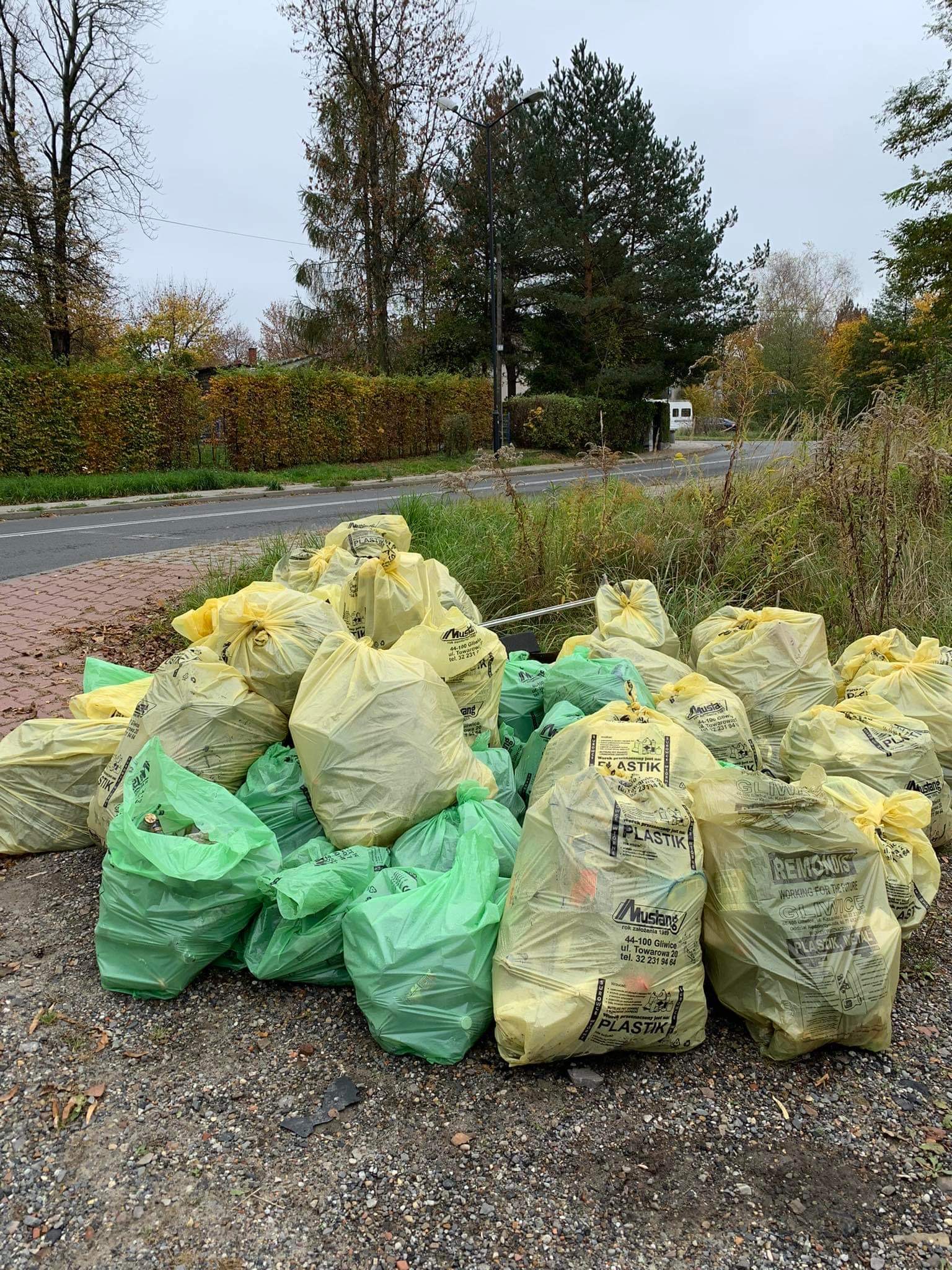 plik foto id: 1400075681